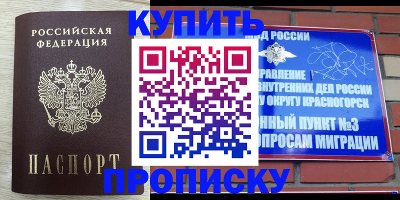 прописка гарантия в Павловске